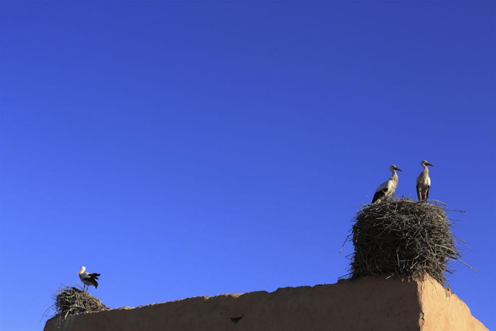 Riad Aladdin Marrakesh Exterior foto